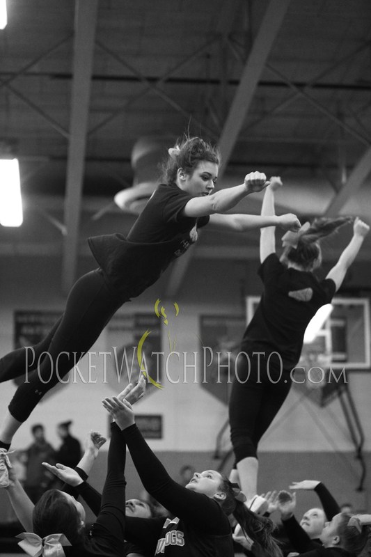 012419PMCH - 135(1).jpg :: P.E.M. Cheer Team Performance 2019