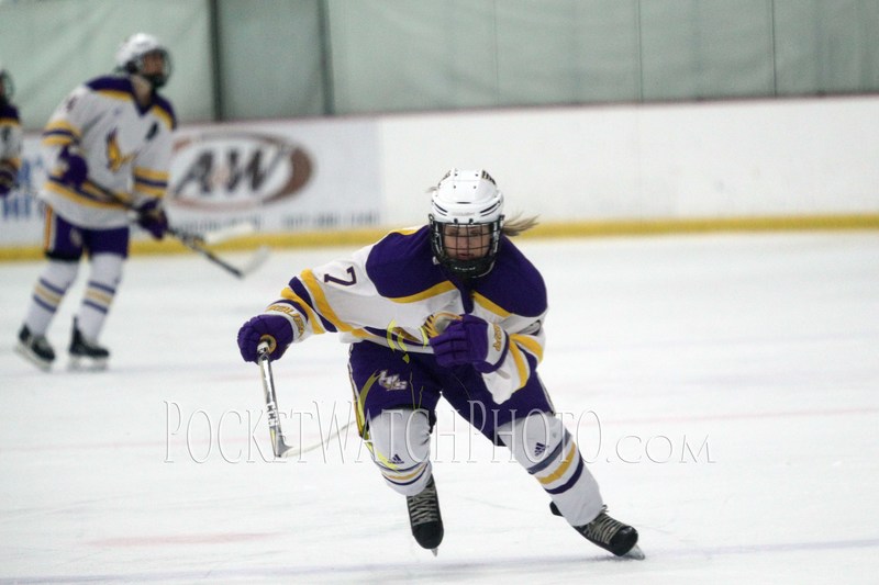 020919HSGH -  049.jpg :: Rochester Lourdes vs. Albert Lea Girls Hockey 2019