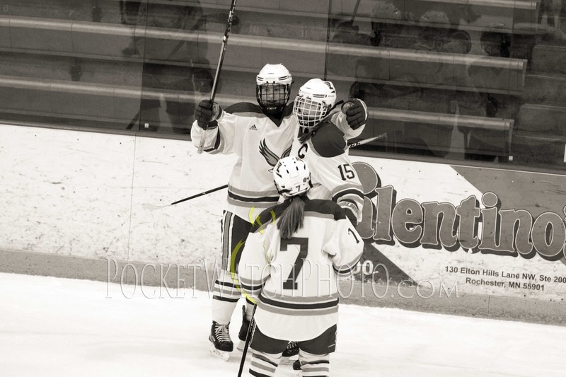 020919HSGH -  071.jpg :: Rochester Lourdes vs. Albert Lea Girls Hockey 2019