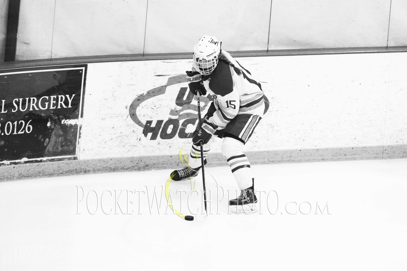 020919HSGH -  078.jpg :: Rochester Lourdes vs. Albert Lea Girls Hockey 2019