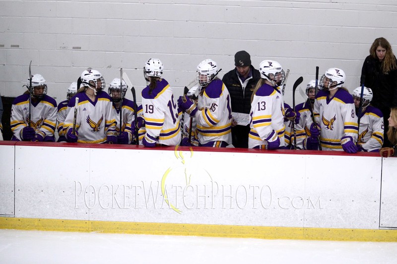 020919HSGH -  088.jpg :: Rochester Lourdes vs. Albert Lea Girls Hockey 2019