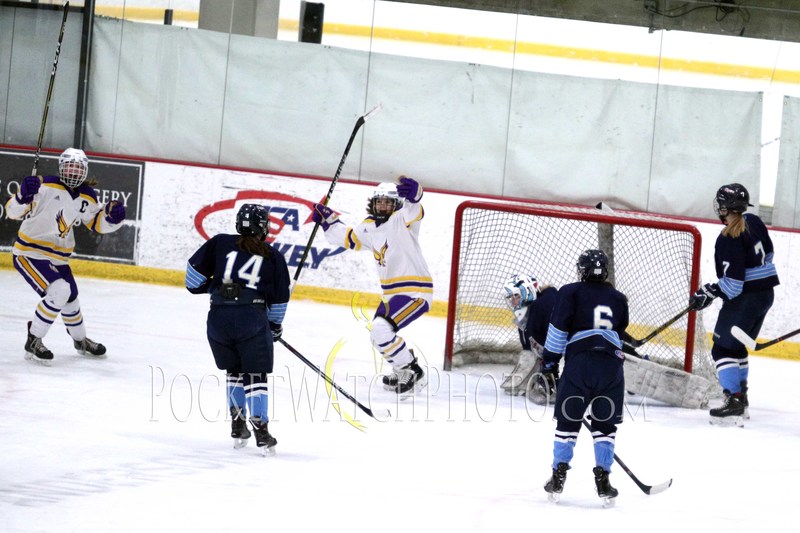 020919HSGH -  115.jpg :: Rochester Lourdes vs. Albert Lea Girls Hockey 2019