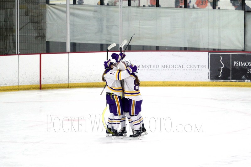 020919HSGH -  117.jpg :: Rochester Lourdes vs. Albert Lea Girls Hockey 2019