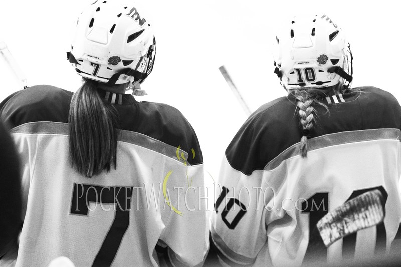 020919HSGH -  119.jpg :: Rochester Lourdes vs. Albert Lea Girls Hockey 2019