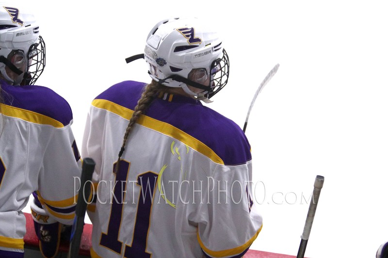 020919HSGH -  120.jpg :: Rochester Lourdes vs. Albert Lea Girls Hockey 2019