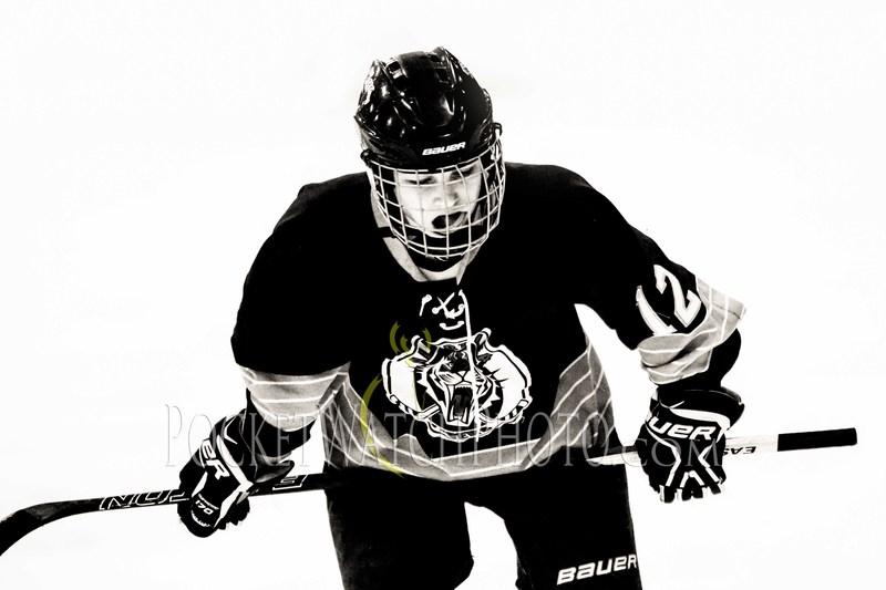 020919HSGH -  137.jpg :: Rochester Lourdes vs. Albert Lea Girls Hockey 2019