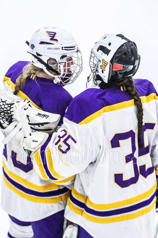 020919HSGH -  151.jpg :: Rochester Lourdes vs. Albert Lea Girls Hockey 2019