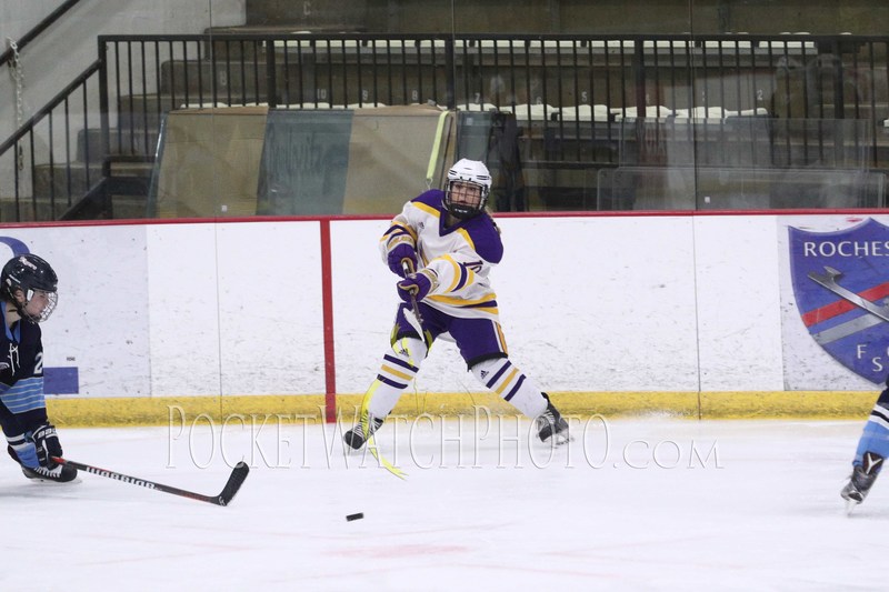 020919HSGH -  176.jpg :: Rochester Lourdes vs. Albert Lea Girls Hockey 2019