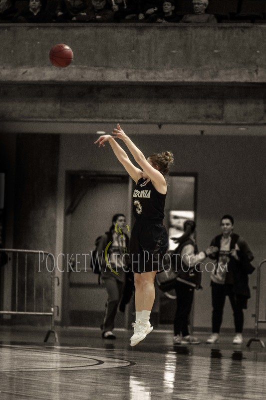 030719HSGB -  017.jpg :: Cotter vs. Caledonia Girls Basketball 2019