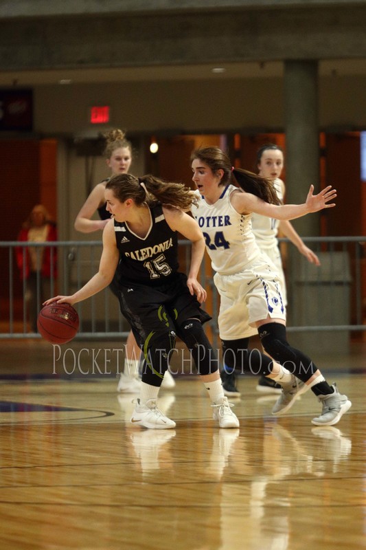 030719HSGB -  034.jpg :: Cotter vs. Caledonia Girls Basketball 2019