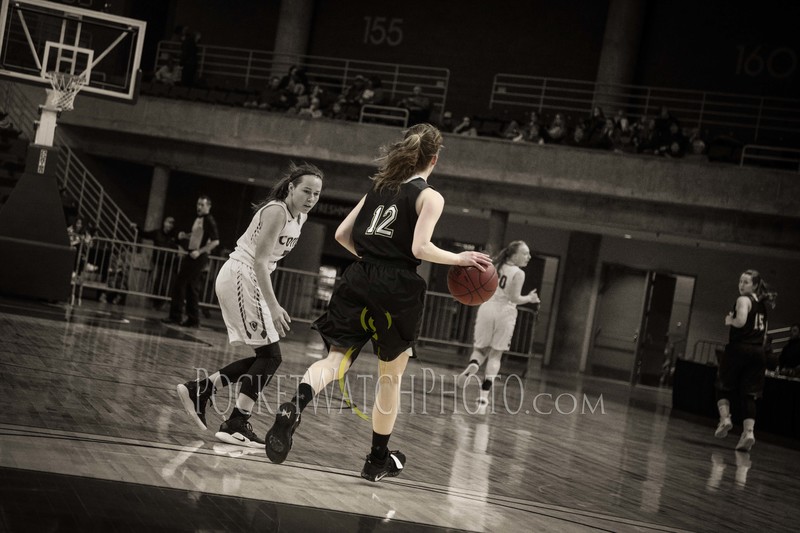 030719HSGB -  040.jpg :: Cotter vs. Caledonia Girls Basketball 2019