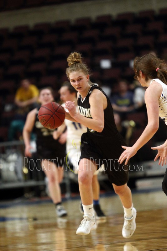 030719HSGB -  073.jpg :: Cotter vs. Caledonia Girls Basketball 2019