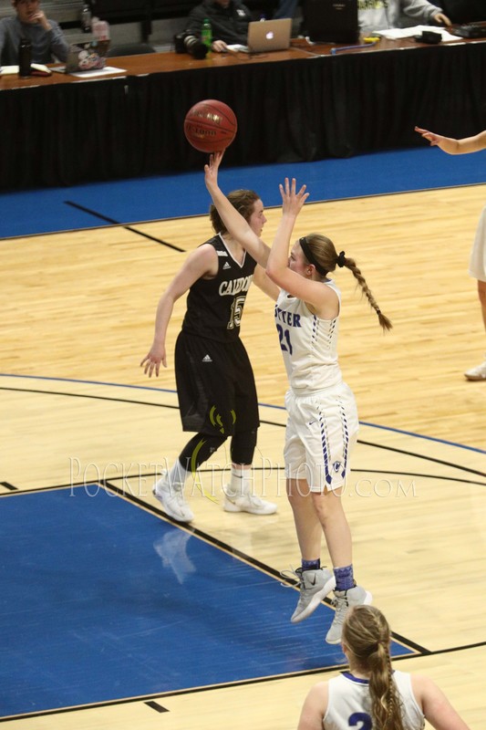 030719HSGB -  118.jpg :: Cotter vs. Caledonia Girls Basketball 2019