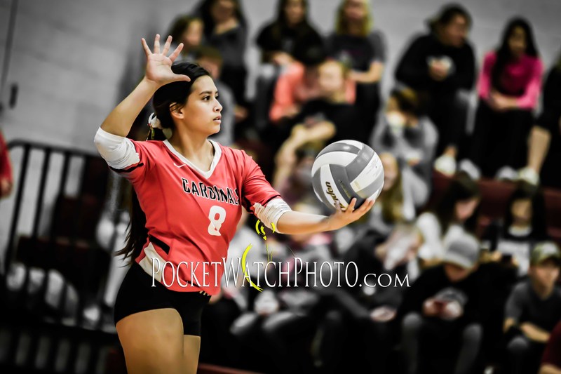 102249HSVB - 017(1).jpg :: Dover-Eyota at Lewiston-Altura Volleyball 2019
