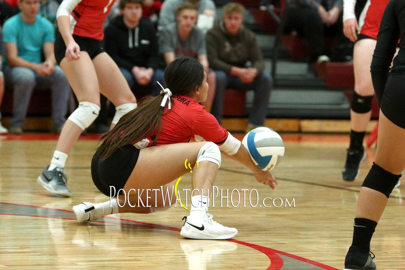 102249HSVB - 023.jpg :: Dover-Eyota at Lewiston-Altura Volleyball 2019