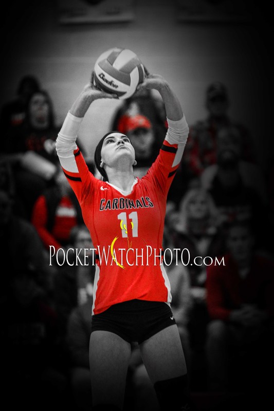 102249HSVB - 082.jpg :: Dover-Eyota at Lewiston-Altura Volleyball 2019