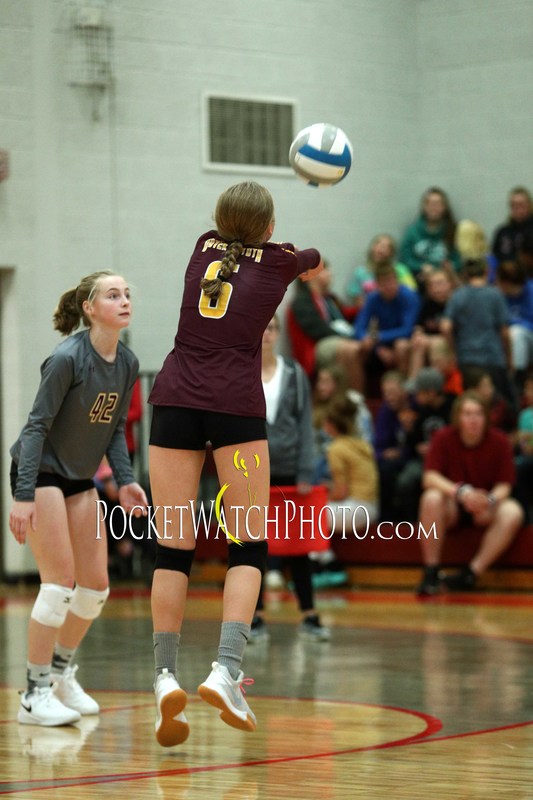 102249HSVB - 099(1).jpg :: Dover-Eyota at Lewiston-Altura Volleyball 2019
