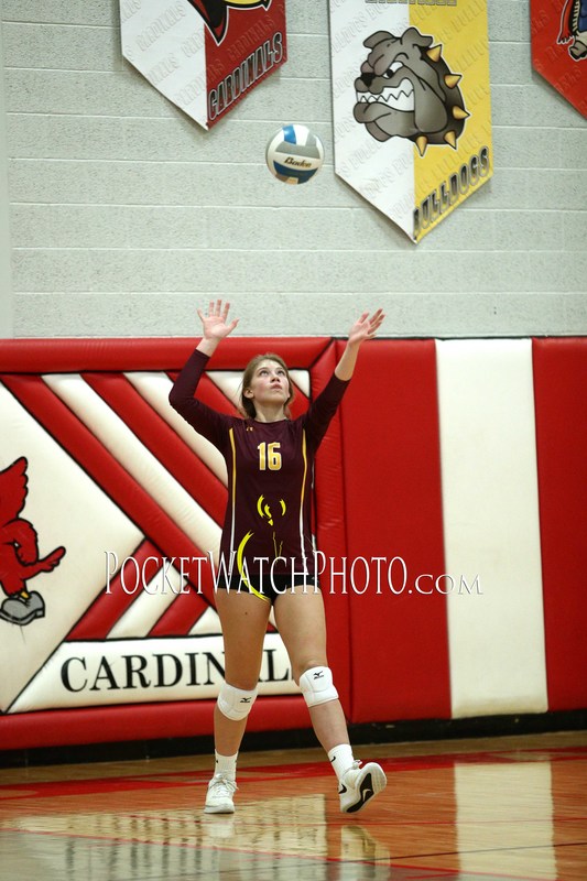 102249HSVB - 100(1).jpg :: Dover-Eyota at Lewiston-Altura Volleyball 2019