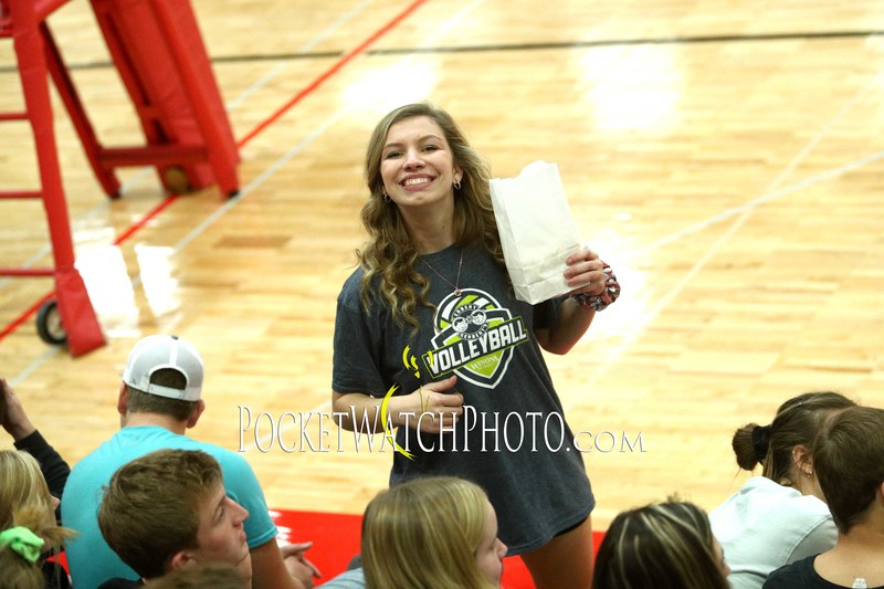 102249HSVB - 104(1).jpg :: Dover-Eyota at Lewiston-Altura Volleyball 2019
