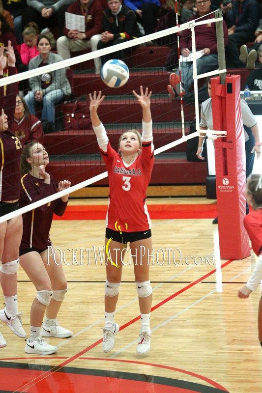 102249HSVB - 108(1).jpg :: Dover-Eyota at Lewiston-Altura Volleyball 2019