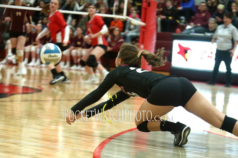 102249HSVB - 115(1).jpg :: Dover-Eyota at Lewiston-Altura Volleyball 2019