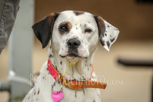 051423HSCT -  131.jpg