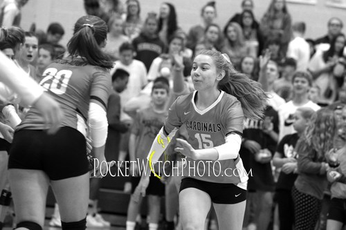 102249HSVB - 007.jpg