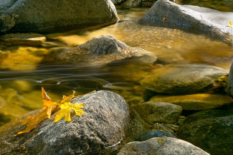 BRIDALVEIL.jpg :: YOSEMITE NATIONAL PARK, CALIFORNIA
Late afternoon sunlight fills Bridalveil Creek with the warm colors of autumn.
