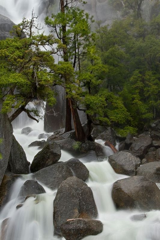 CASCADE FALLS.jpg :: YOSEMITE NATIONAL PARK, CALIFORNIA
Those entering Yosemite Valley from Highway 120 are greated by this sight as they approach the valley.  For the first time visitor, it will not soon be forgotten but is only a hint of the magic that awaits around the next few bends of the road.