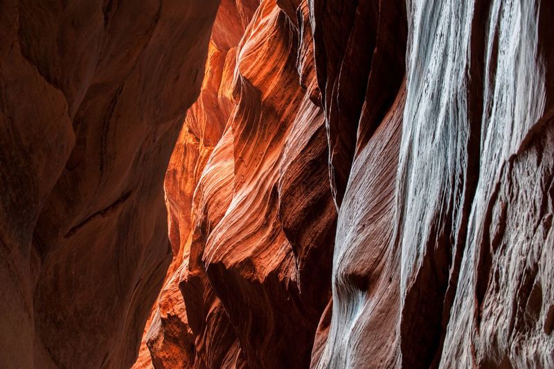 LIGHT REFLECTED.jpg :: BUCKSKIN GULCH, UTAH.     
Desert light from high above is reflected onto the sculpted sedimentary stone walls of the longest slot canyon in Utah. Reflected light is the favorite of all photographers and here it filters down hundreds of feet creating a sensory masterpiece of stone, texture, color and light.

 