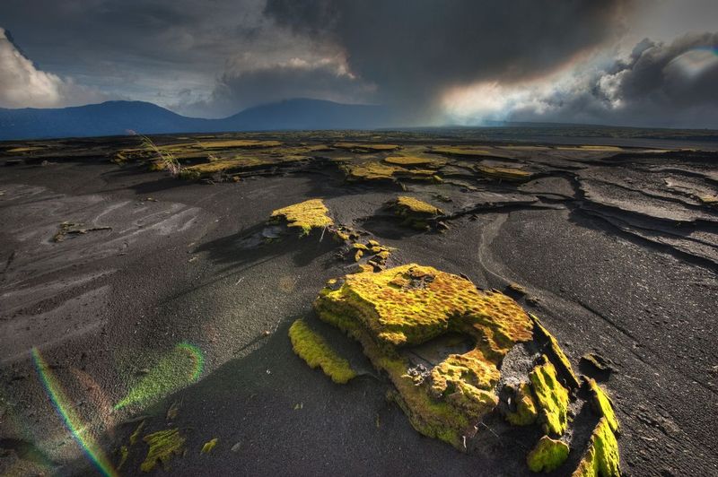 MARUM ASH PLAIN.jpg :: Marum Ash Plain, Vanuatu.     
The vast ash plain of Ambrym has been formed over thousands of years by the active volcanoes of Benbow and Marum. Thick mosses and other hardy organisms have found a tenuous hold of life in the seemingly inhospitable landscapes of the ash plain. 