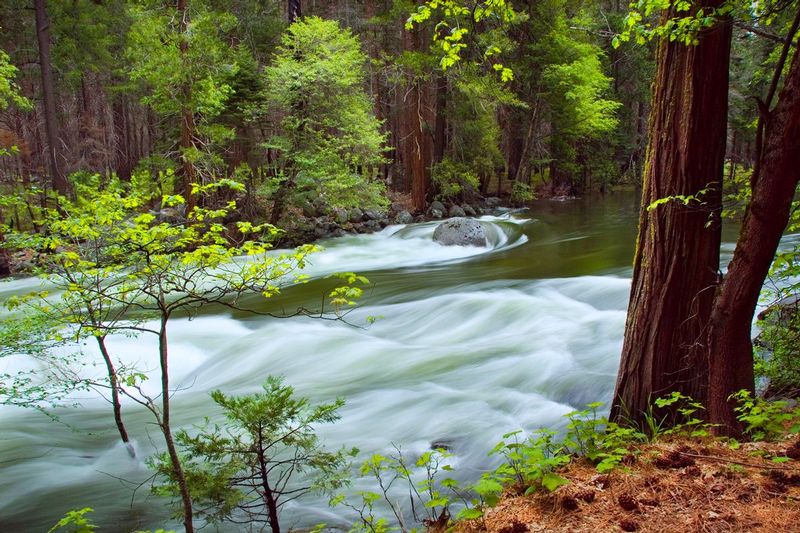 MERCED RIVER.jpg :: YOSEMITE NATIONAL PARK, CALIFORNIA.
The sound, color, and motion of the Merced in spring reflect the timeless beauty and power of moving water.