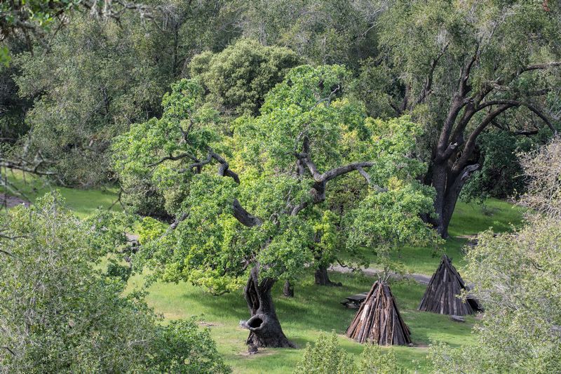 OLOMPOLI.jpg :: OLOMPOLI STATE PARK, MARIN COUNTY CALIFORNIA
The Coastal Miwok native people flourished for thousands of years in California's coast range.  At Olompali State Park several kotchas have been reconstructed among the oak trees that provided nourishment for their long lost way of life.