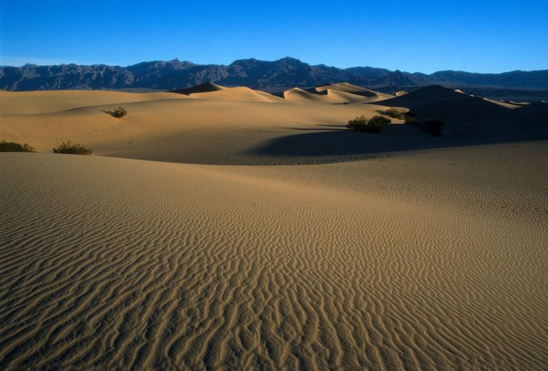 STOVEPIPE.jpg :: DEATH VALLEY NATIONAL PARK, CALIFORNIA.     
The welcome light breaking over a bitter cold January morning carries warmth to the dunes of Stovepipe Wells.