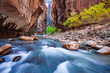 VIRGIN RIVER IN FALL.jpg