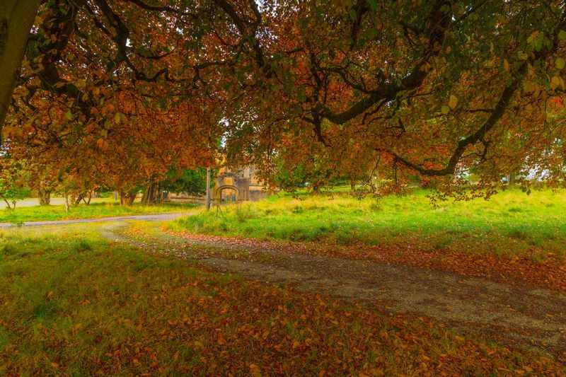 Autumn Shelter.jpg :: Adrian Jenkins, Scottish Landscape Photogaphy, Scotland Photos, Scottish Photos, Photos of Scotland