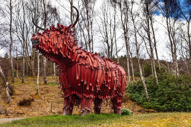 Impossible Coo.jpg