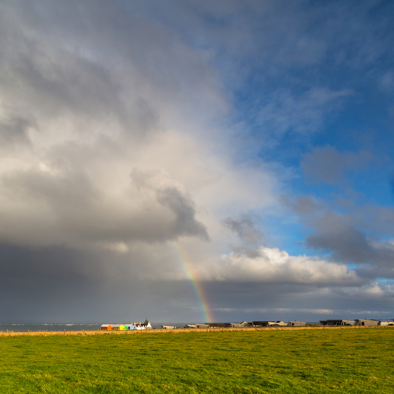 Taste the Rainbow.jpg :: Taste the Rainbow