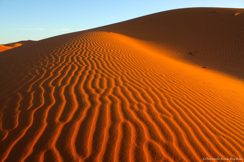 desierto_sahara_IMG_22511.jpg :: Erg Chebbi, Sahara, Morroco. Erg Chebbi is the highest and largest sand dunes desert of the Sahara in Morocco. The dunes are reaching a height of up to 150 meters.