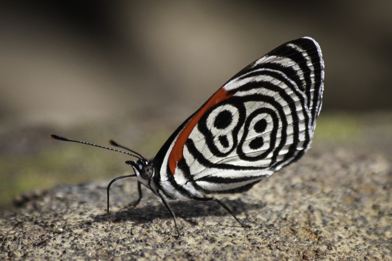 mariposa_website_IMG_3773.jpg