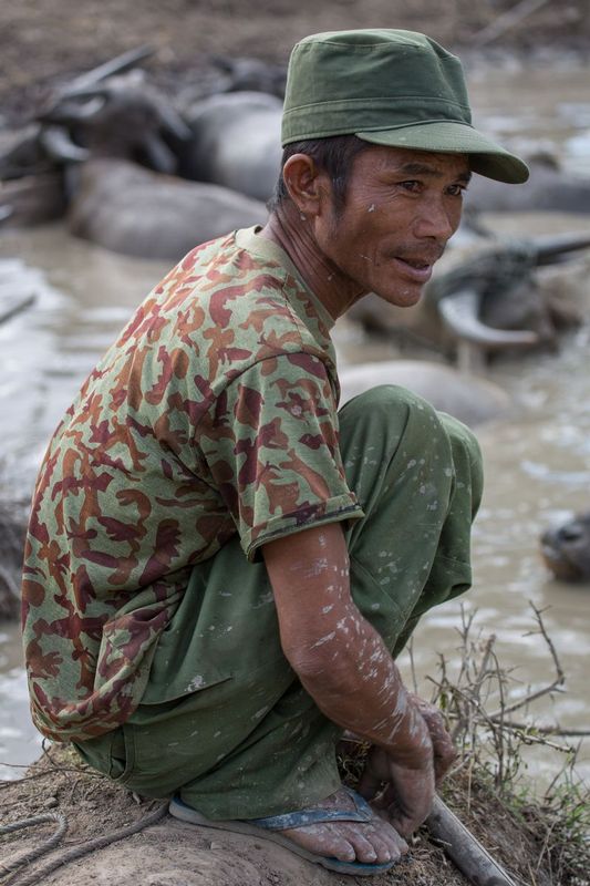 myanmar_AD4A7868.jpg :: Water buffalo keeper, Myanmar.