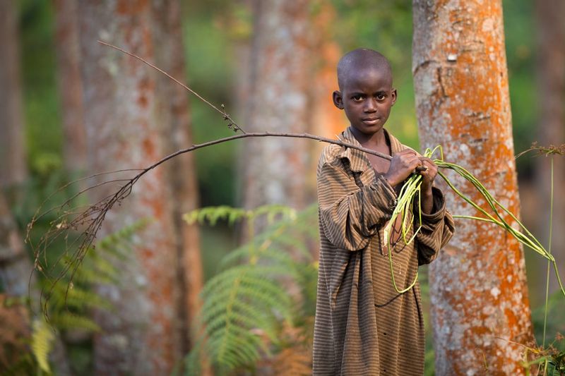 nino_AD4A5045.jpg :: Boy in Gisakura area, Nyungwe - Rwanda.