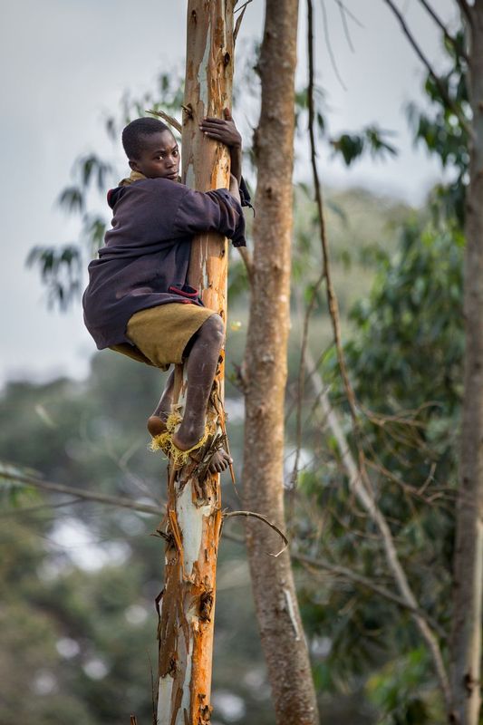 nino_AD4A5050.jpg :: Boy in Gisakura area, Nyungwe - Rwanda.