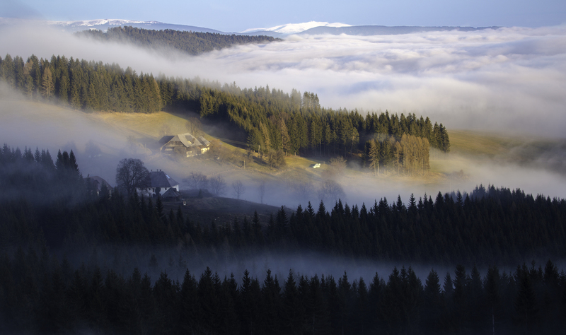 paisaje_website_AD4A0628.jpg :: Afternoon fog in southern Austria, close to the Slovenian border.