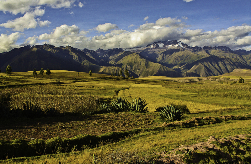 maras.jpg :: Maras at the Sacred valley. Cuzco, Peru.