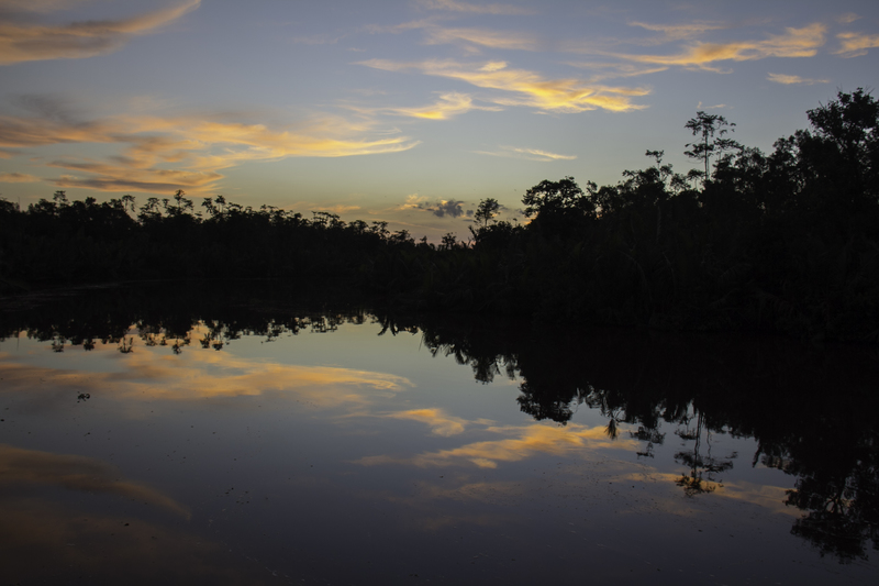paisaje_IMG_3161.jpg :: Sunset in Tanjung Puting National Park. Island of Borneo, Indonesia.