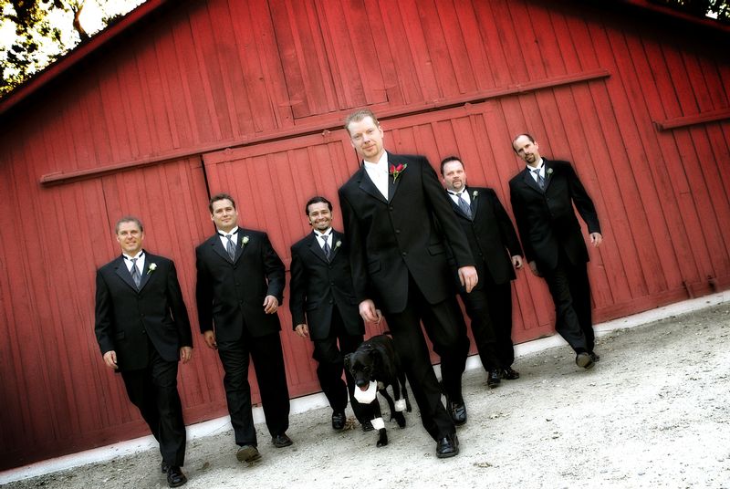 Mans best friend is his best man.jpg :: pets,weddings,photographers