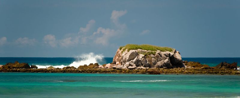 _DSC5552-.jpg