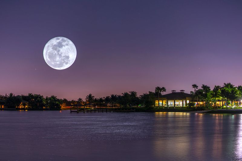 DSC_2114moon3.jpg