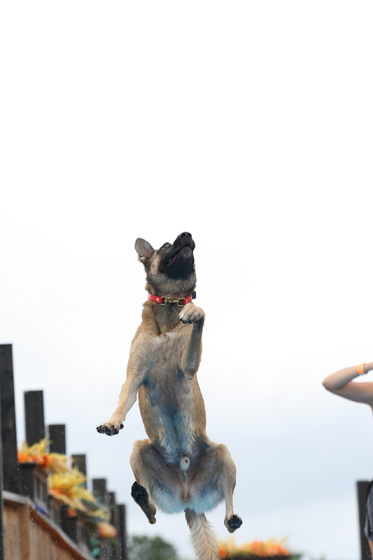 0P5A0004.jpg